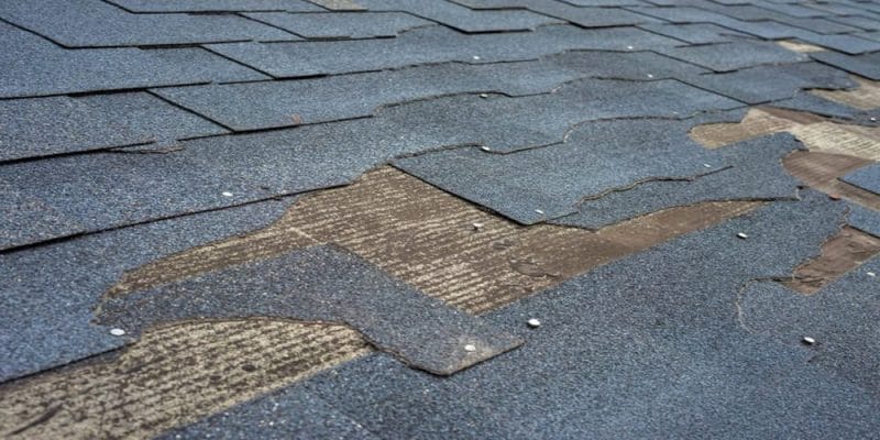 Causes of Roof Damage and How to Prevent Them